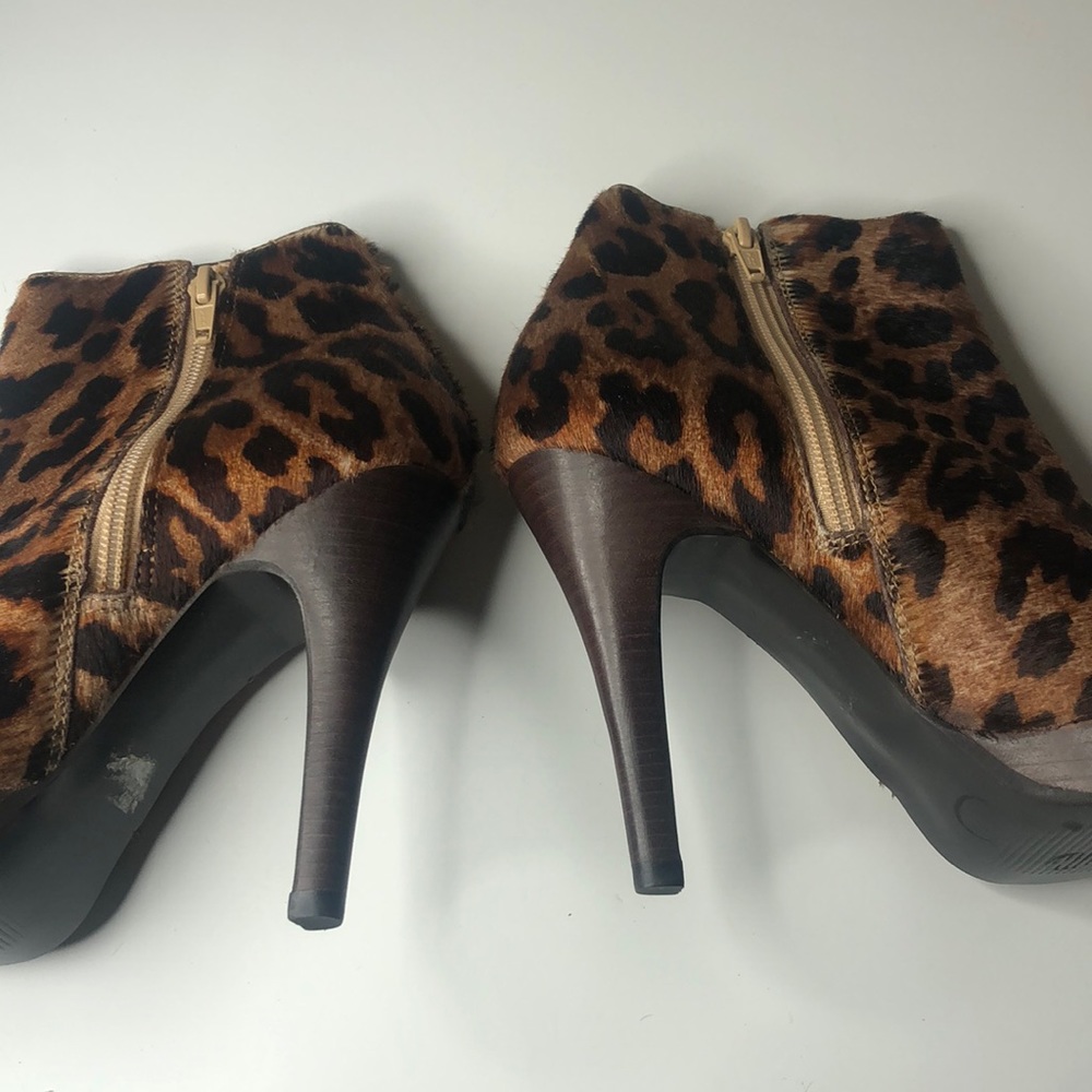 Steve Madden Leopard Print Booties Item#90 - image 4